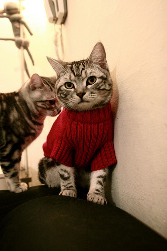 金字塔尖的压哨绝杀，埃及的生死时刻