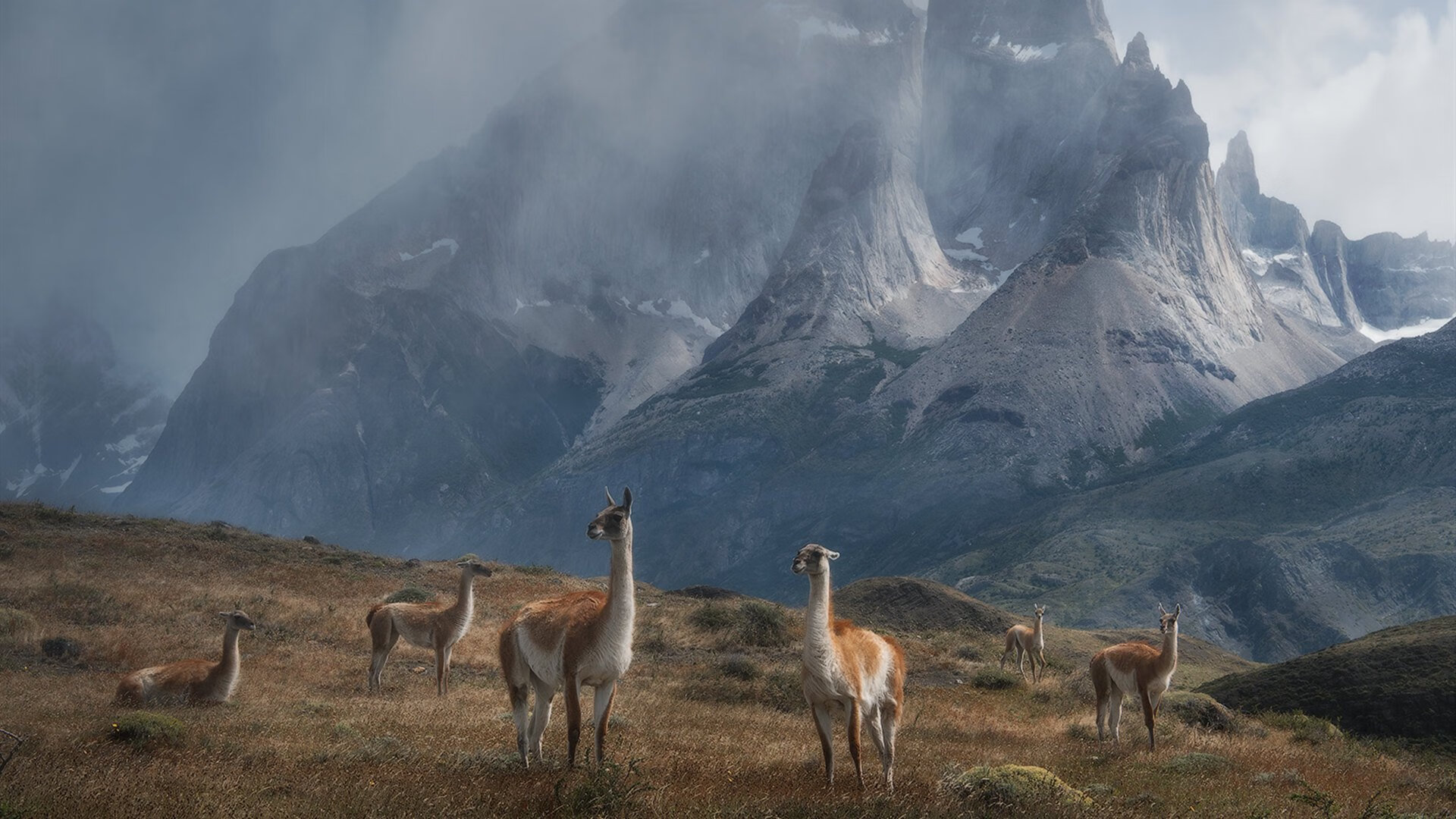 -卡马文加的提前下班，尤文用最稳的方式，改变了意甲格局
