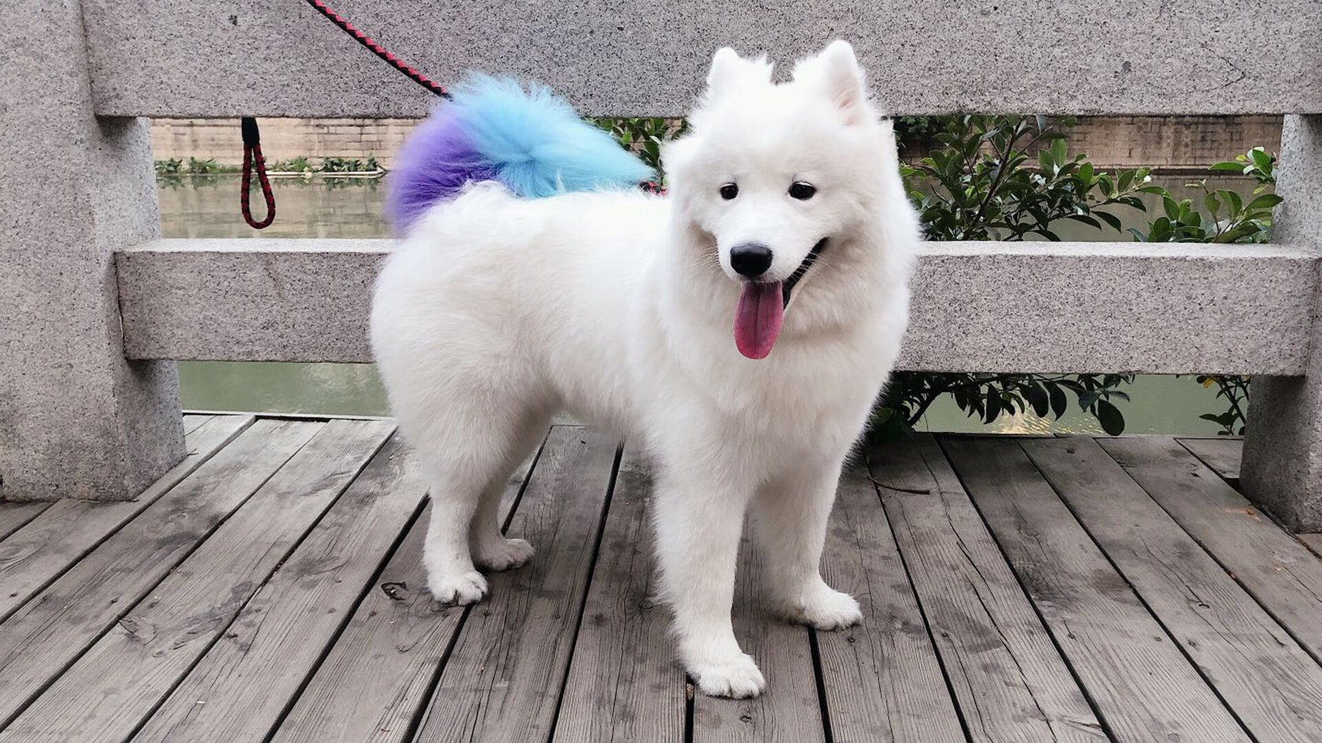 唯一性的胜利，奥利维耶关键制胜，西班牙轻取巴西