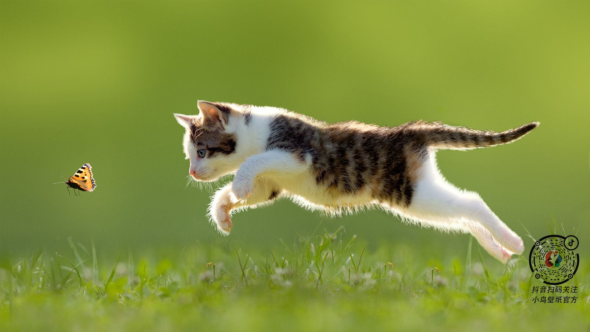 体育app-业余球馆VS篮球豪门，上海队如何单节打懵湖人，文班亚马意外成为关键先生