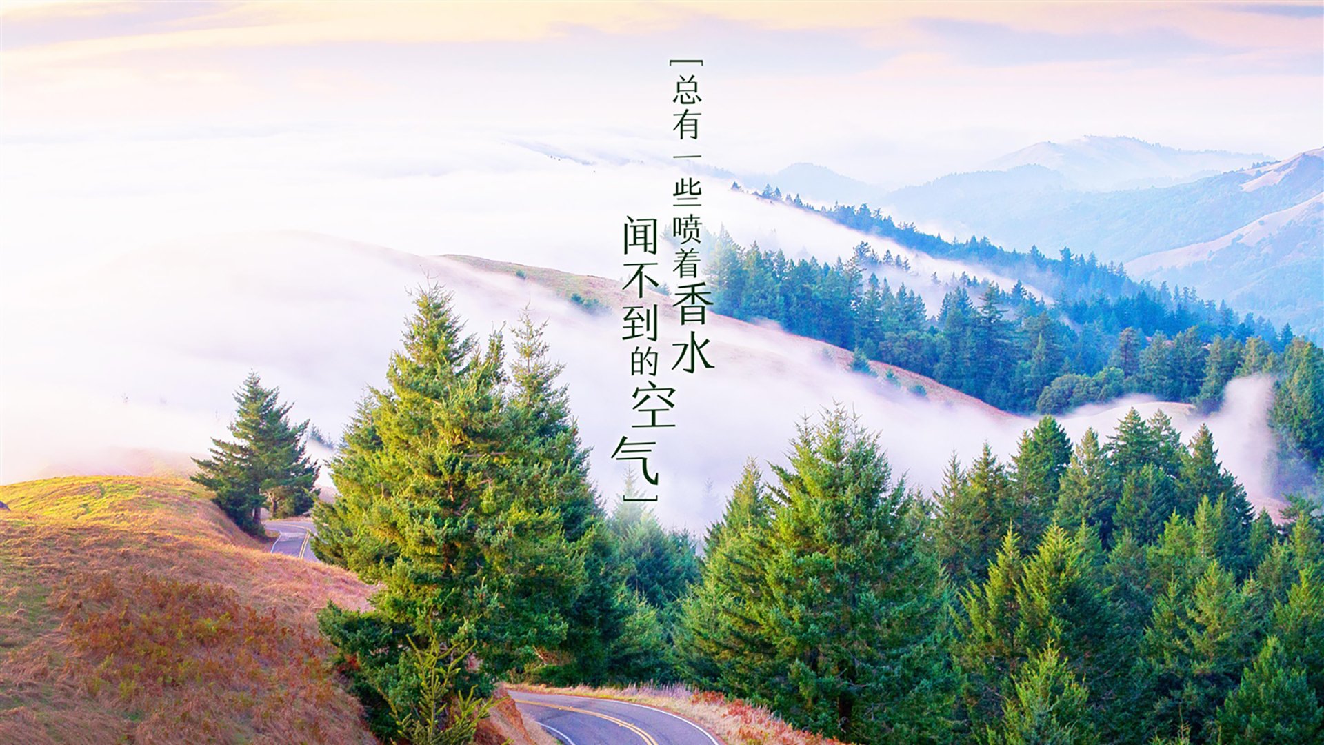 蓝衣军团的绝境救赎，穆西亚拉的致命一击，为法兰西续写2026世界杯出线战中的荣耀与颤栗